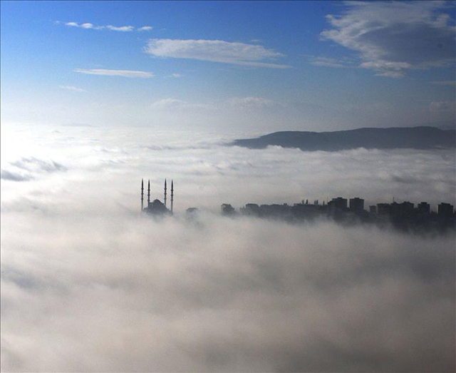 Thumbs B2 9Fc3Aa1A5Aec3A23E4Ec439F464Fe5F6