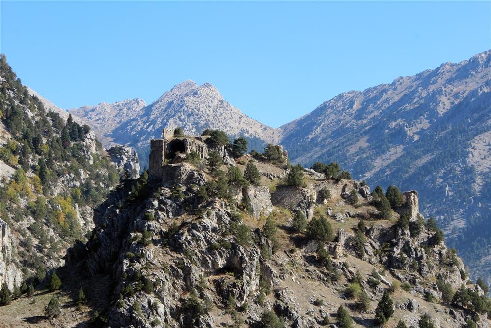 492893,Geben Milli Parki 2Jpg