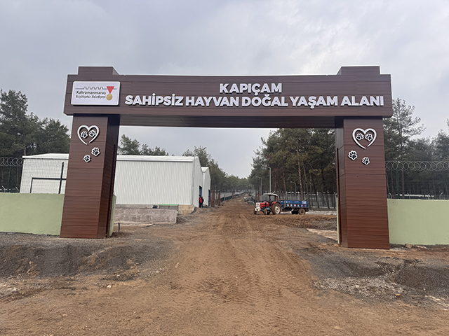 A A 20260210 40509443 40509437 D E P R E M D E H A S A R G O R E N K A P I C A M S O K A K H A Y V A N L A R I R E H A B I L I T A S Y O N M E R K E Z I Y E N I L E N D I