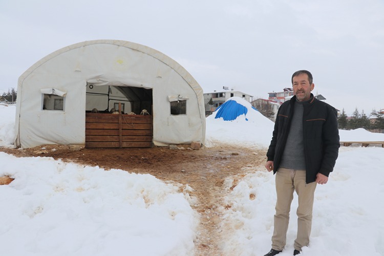 Adana'da Depremde Ağılları Zarar Gören Besiciler Verilen Çadırlarda Yetiştiriciliğe Devam Etti0