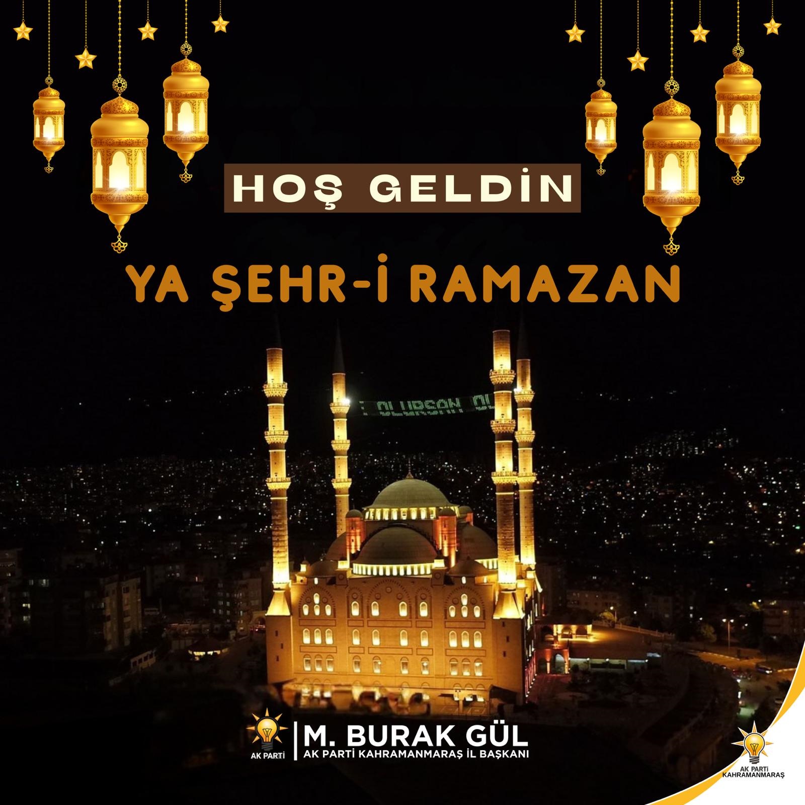 D11B75Ba E1Fd 46F7 Aaf0 Ccbd00969F03