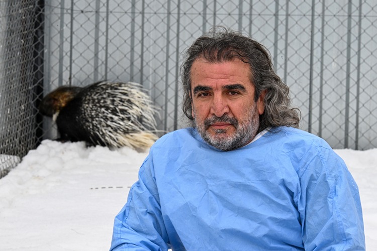 Doğada Nadir Görülen Hint Oklu Kirpi Tedavi Altına Alındı1