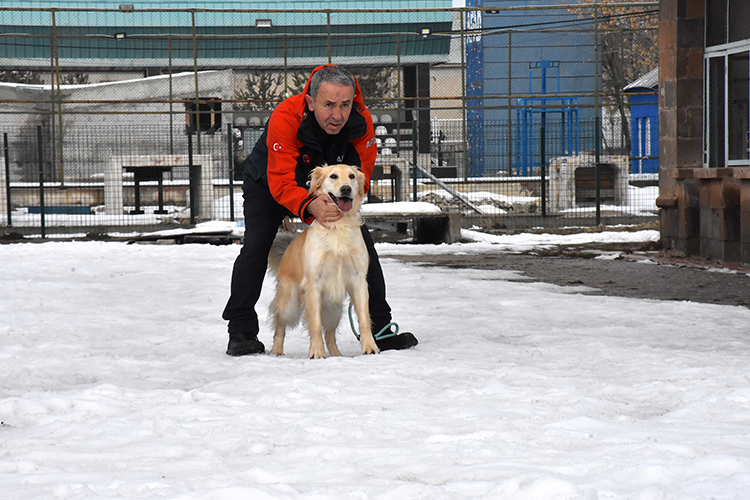 Yaralı Patileriyle 6 Kişiye Umut Olan Köpük Eğitimlerle Yeni Görevlere Hazırlanıyor (1)