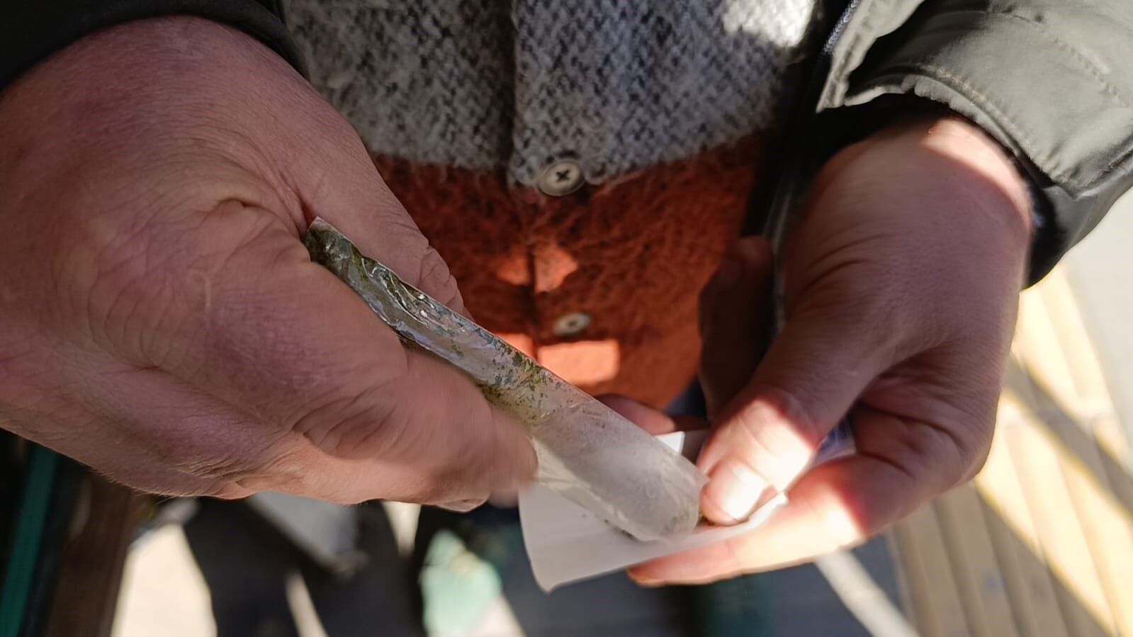 Uzmandan Maraş Otu Uyarısı Etkisi Günde 8 Paket Sigaraya Denk (1)