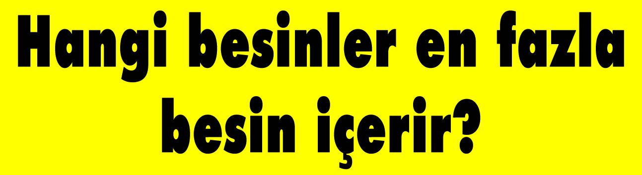 Hangi besinler en fazla besin içerir?
